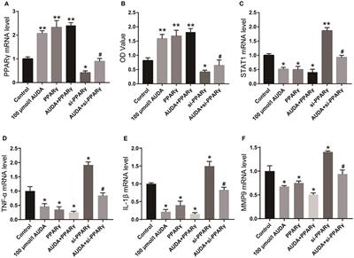 The Anti-inflammatory Effect of Soluble Epoxide Hydrolase Inhibitor and 14, 15-EET in Kawasaki Disease Through PPARγ/STAT1 Signaling Pathway